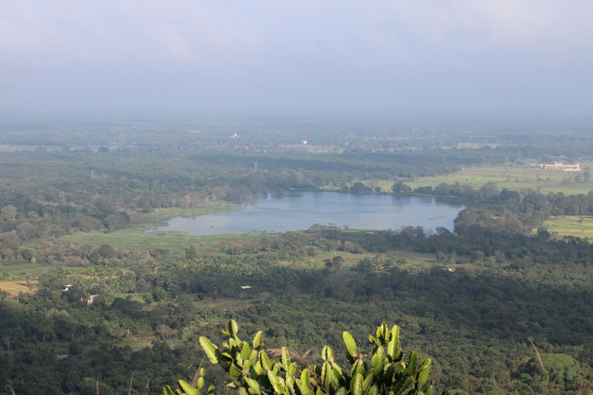 Kandalama Reservoir and the surrounding greenery as seen from above.