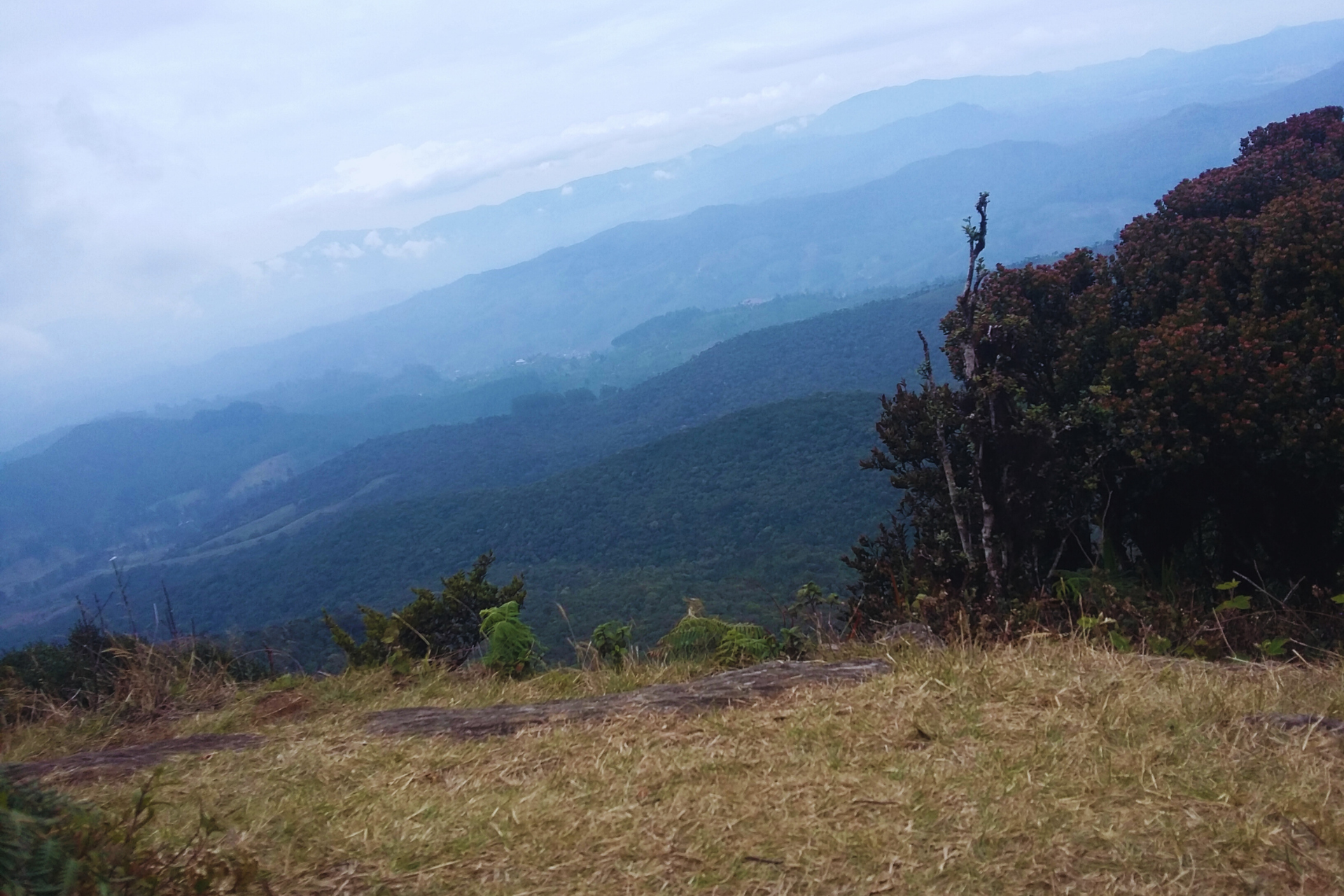 The view from Kirigalpoththa situated in Horton Plains National Park in Nuwara Eliya, Sri Lanka.