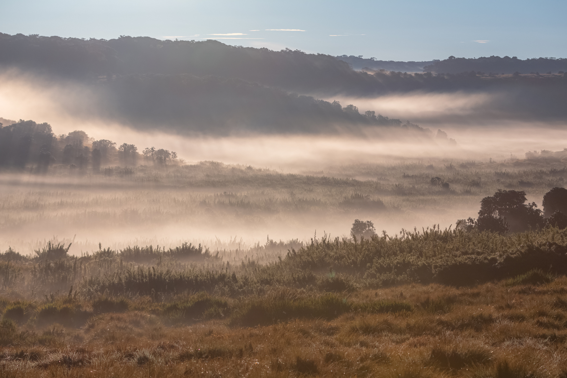 A morning in Horton Plains in Nuwara Eliya, Sri Lanka.