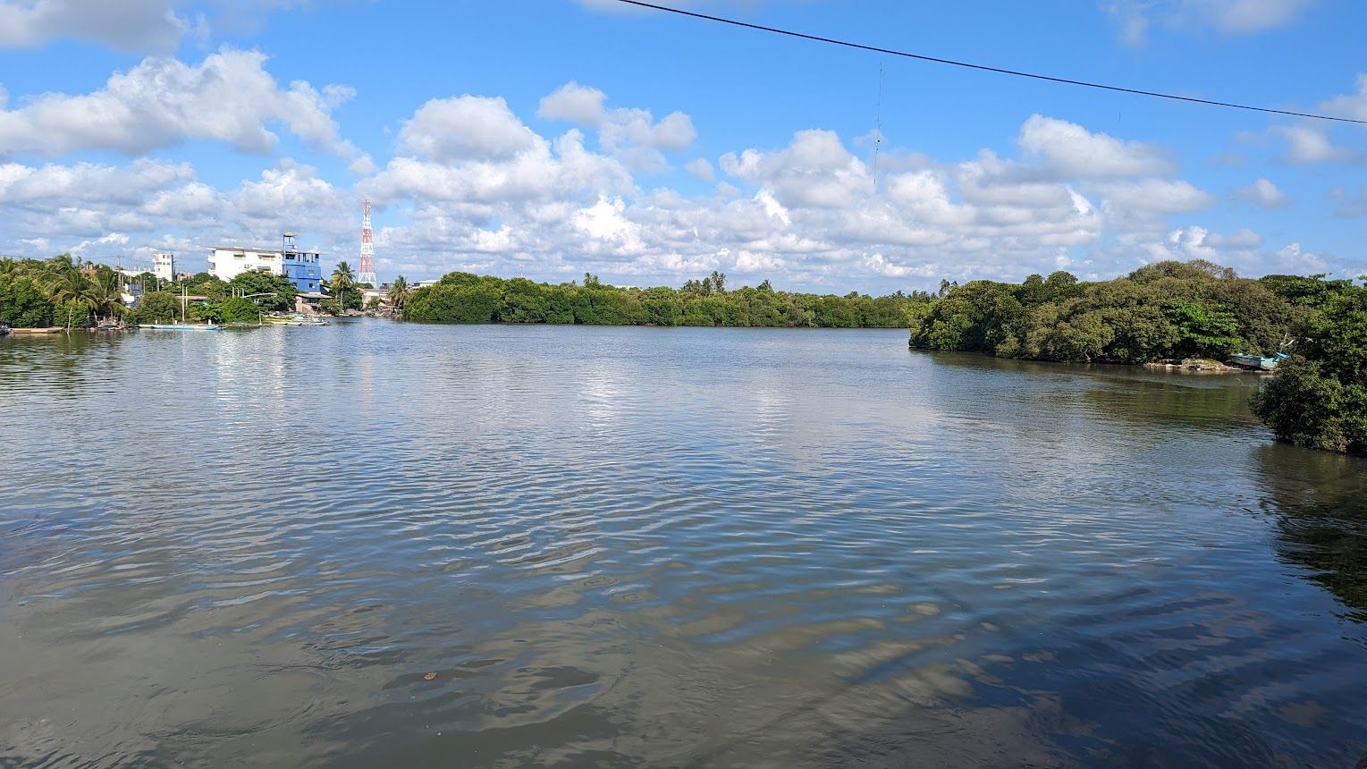 The Negombo lagoon in Sri Lanka with its greenery amidst the blue waters.