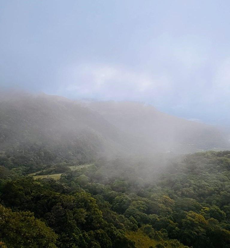 Mist covered mountains in Riverston, Matale, Sri Lanka