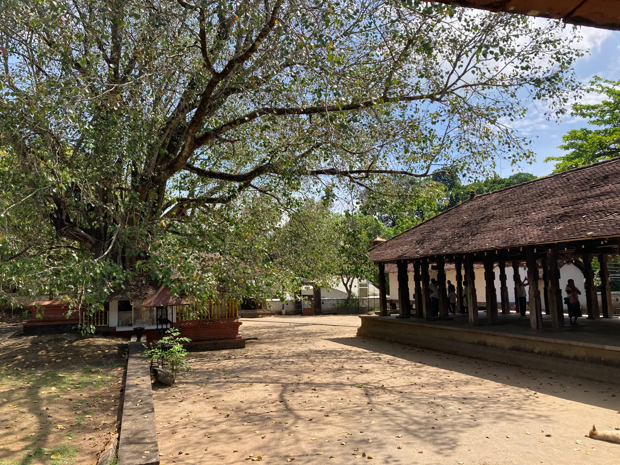 The grounds of Embekka Devalaya, Sri Lanka, with a Bo tree, altar and wooden pillars