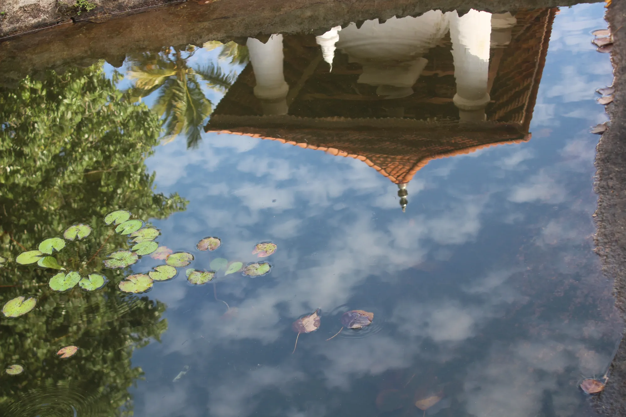 A reflection of Gadaladeniya Temple in Sri Lanka, in one of it's ponds.
