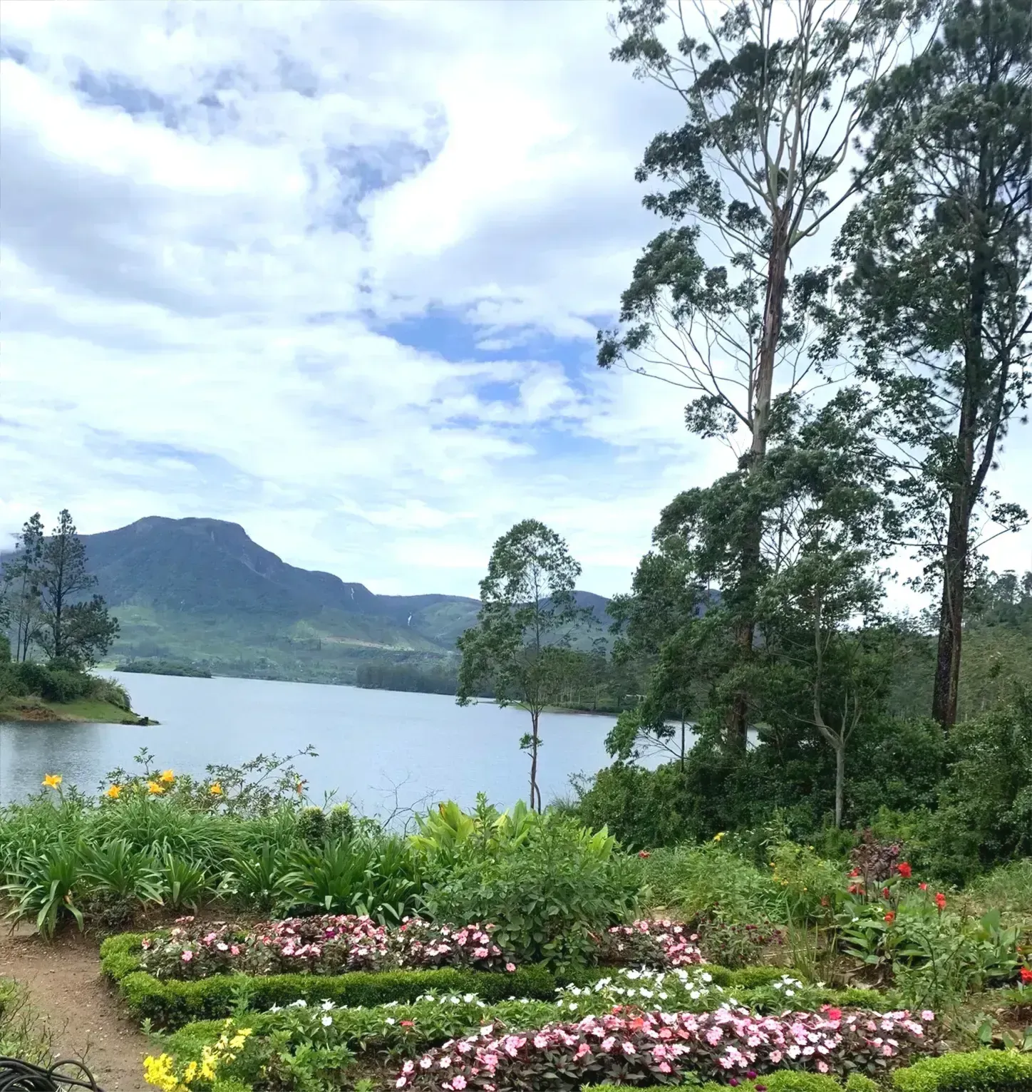 A garden with colorful flowers and trees at the banks of the reservoir in Maskeliya