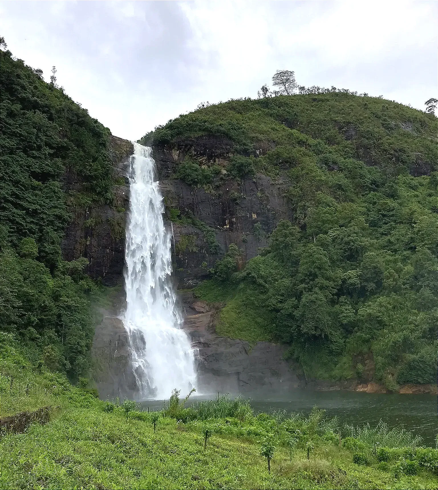 Gartmore Falls in Sri Lanka, amidst the greenery of Maskeliya