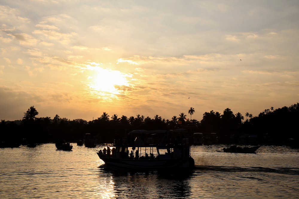 Whale Watching In Sri Lanka | Wonders Of Ceylon